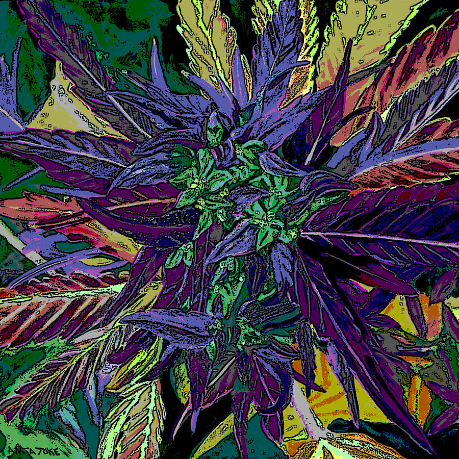 Cannabis Flower #1 Digital Art by Anita Toke - Pixels