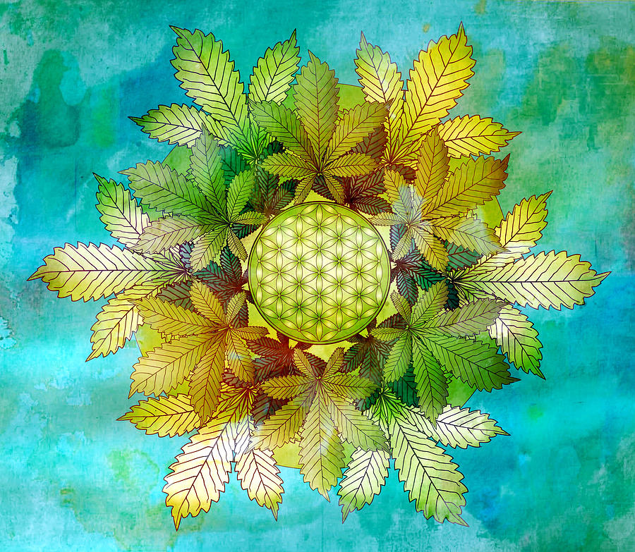 Cannabis Leaf Mandala Digital Art by Serena King