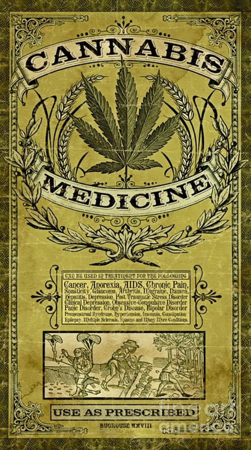 Vintage Photograph - Cannabis medicine poster by Pd