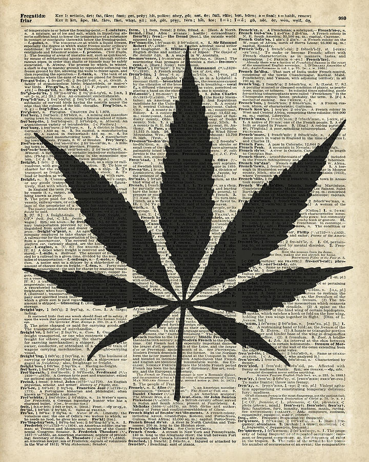 Music Digital Art - Cannabis Plant Stencil by Anna W