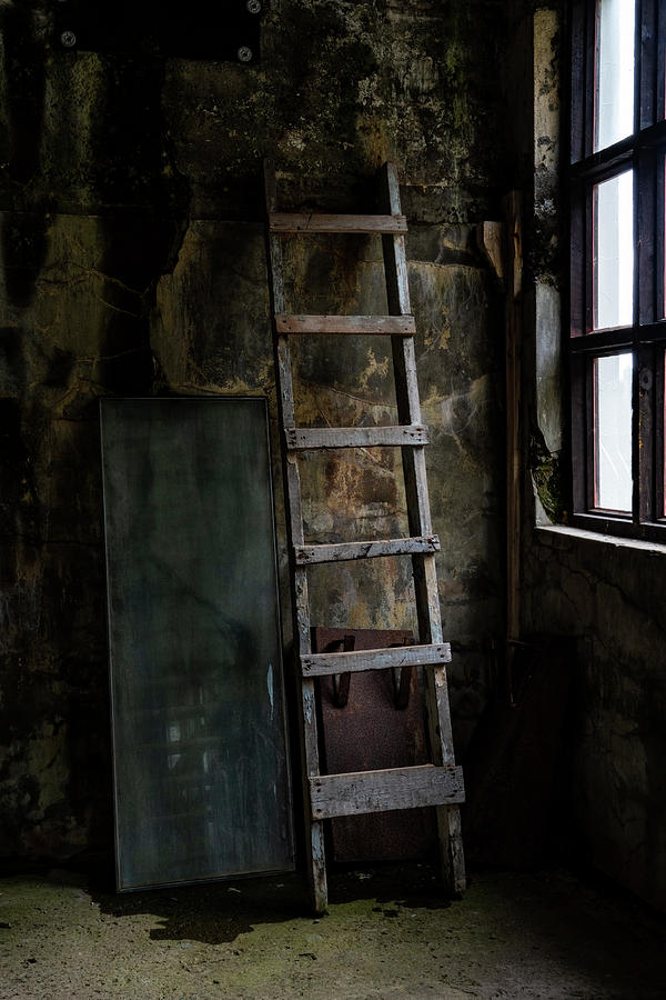 Cannery Ladder Photograph by Tom Singleton