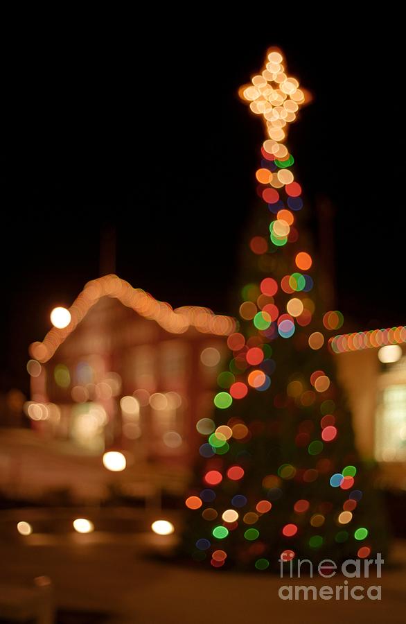 Cannery Row Christmas Lights Photograph