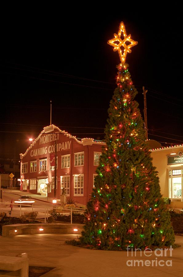 Cannery Row Christmas Tree Photograph