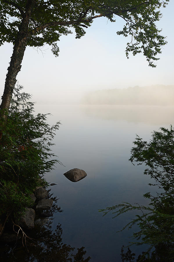 Canning Lake Mist Photograph by Steve Somerville