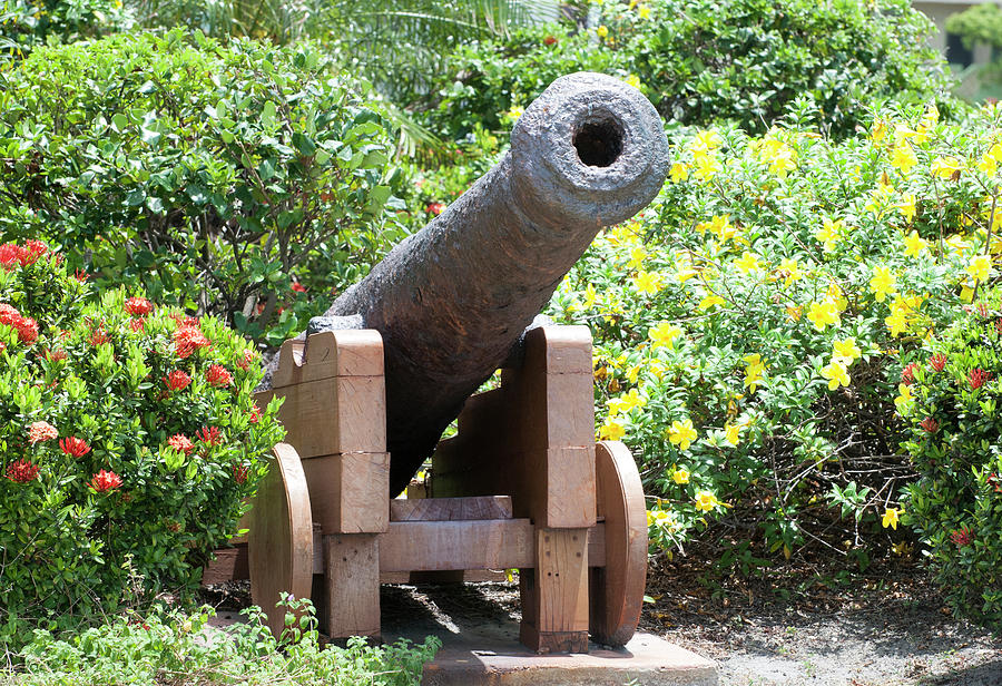 Cannon And Flowers Photograph by Ramunas Bruzas