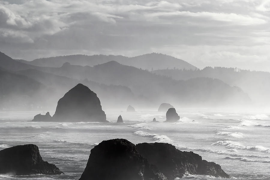 Cannon Beach Black and White Portrait Photograph by David Gn