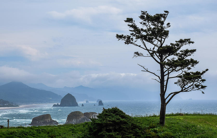 Cannon Beach Photograph by David Lee