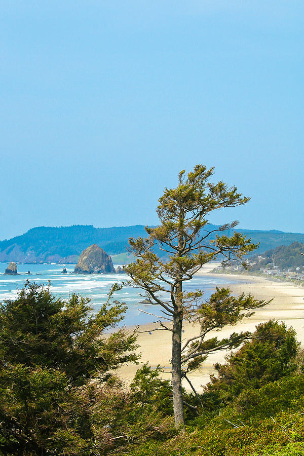 Cannon Beach from the Distance Photograph by David Patterson