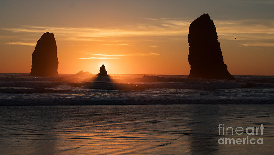 Cannon Beach Golden Seastacks Photograph by Mike Reid