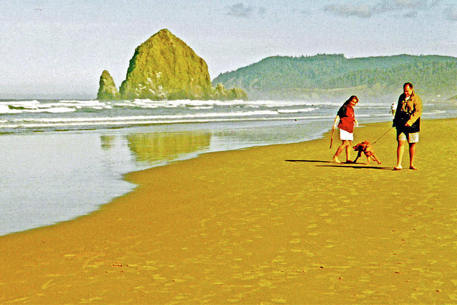 Cannon Beach in Ecola State Park, Oregon Photograph by Ruth Hager