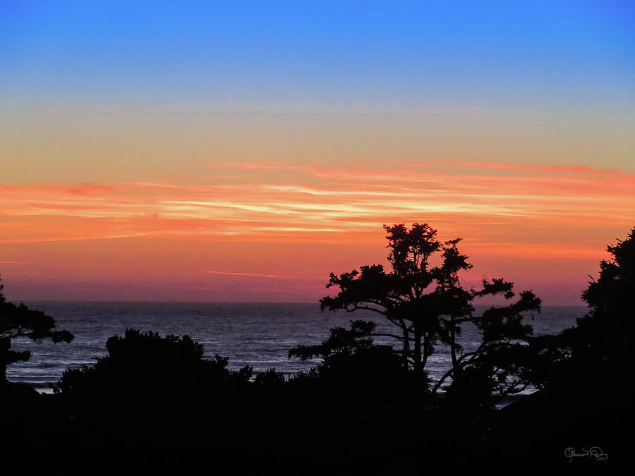 Cannon Beach Last Light Photograph by Susan Molnar