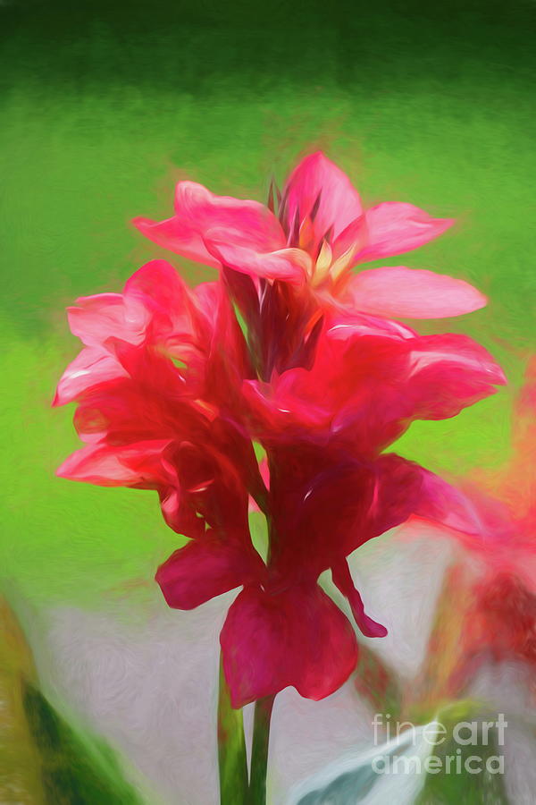 Cannova Red Digital Art by Ed Taylor