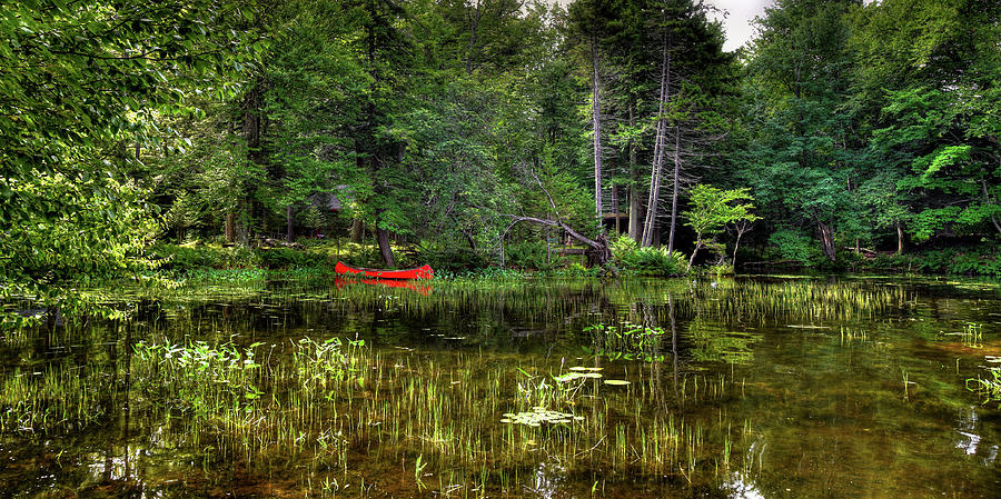 Canoe Among the Reeds Photograph by David Patterson