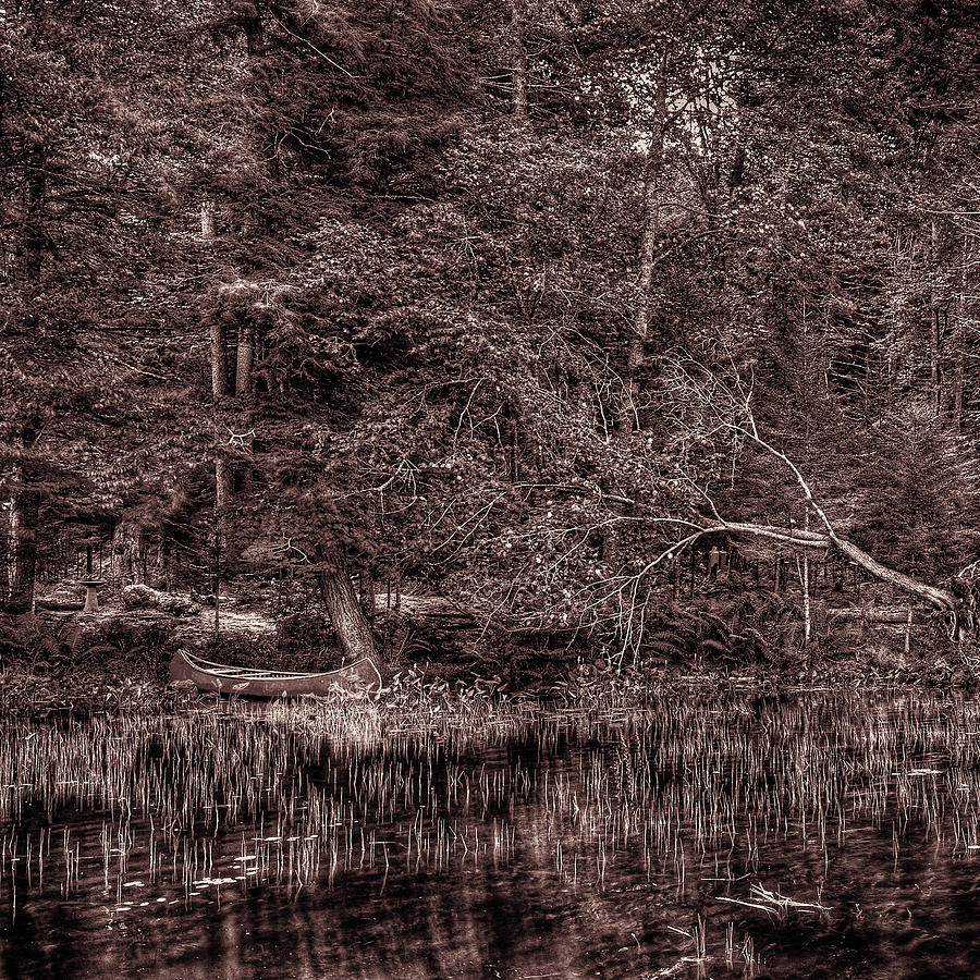 Landscape Photograph - Canoe in the Adirondacks by David Patterson