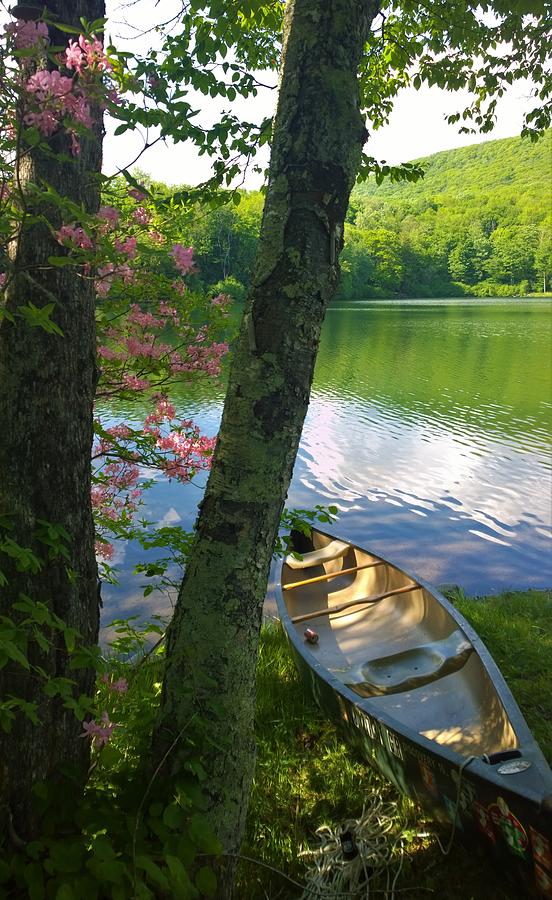 Canoe on Pond, Catskills Photograph by Lisa Dunn