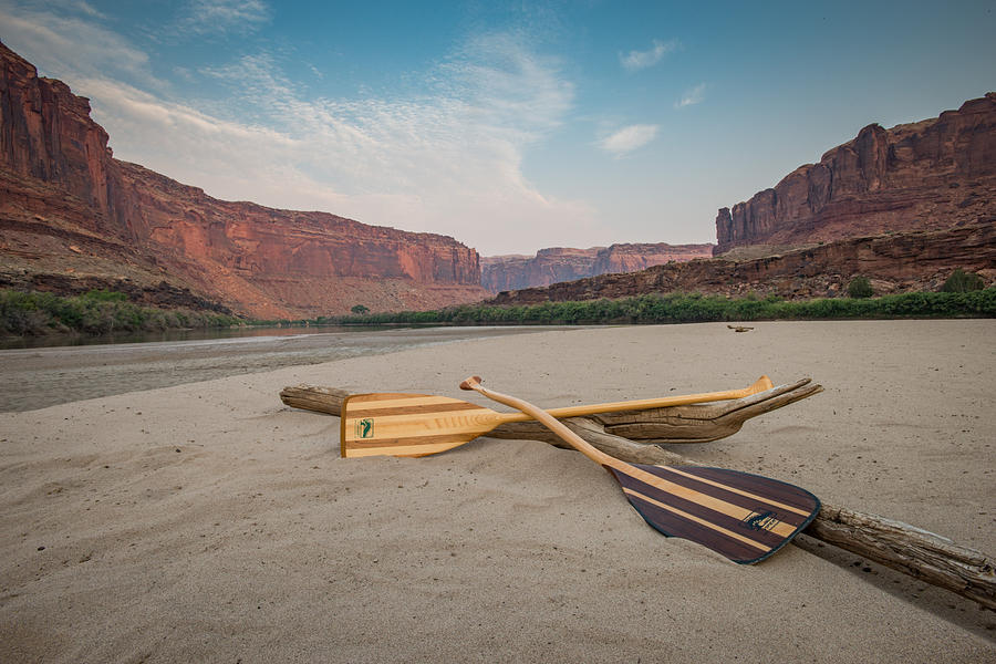 Canoe Paddles Photograph by Matthew Lit