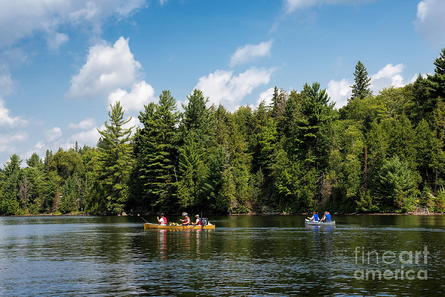 Tree Photograph - Canoe paddling in Algonquin Park by Les Palenik