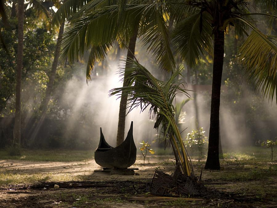 Boat Photograph - Canoe Under Palm Trees In Kerala, India by Keith Levit