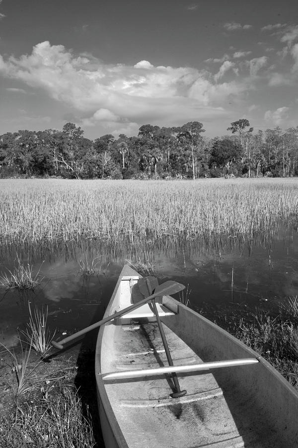 Canoeing in the Glades in Black and White Photograph by Debra and Dave Vanderlaan