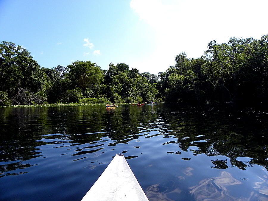 Canoeing on the Wekiva River  Photograph by Christopher Mercer