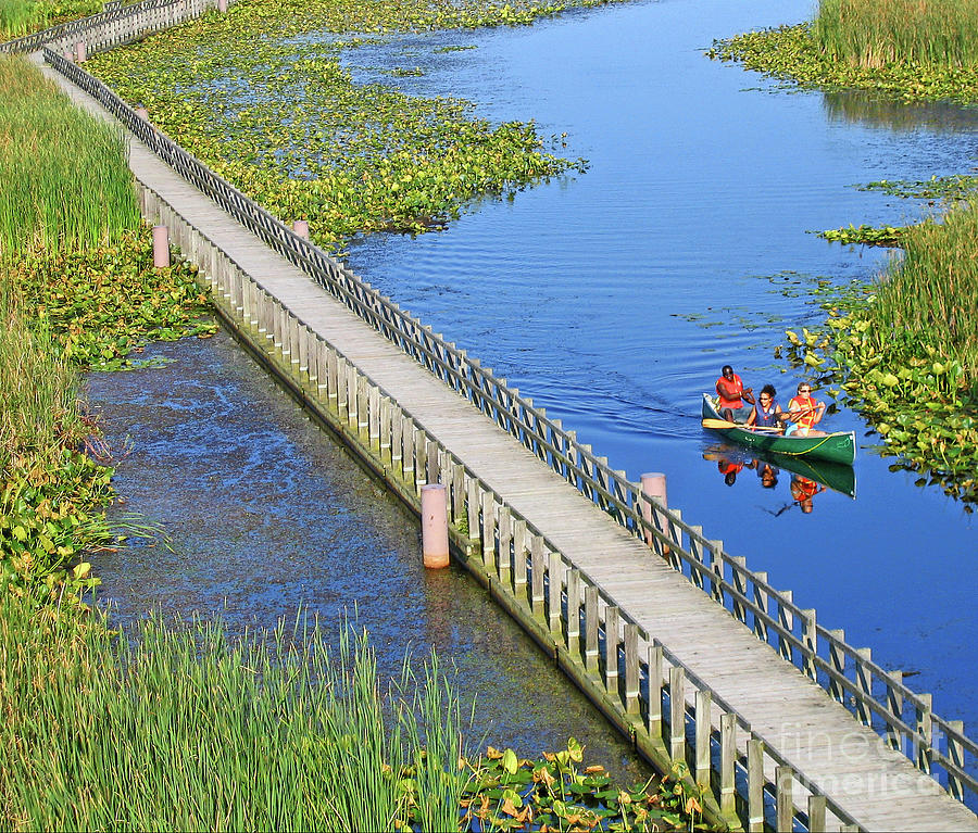 Canoeing the Marsh Photograph by Ann Horn