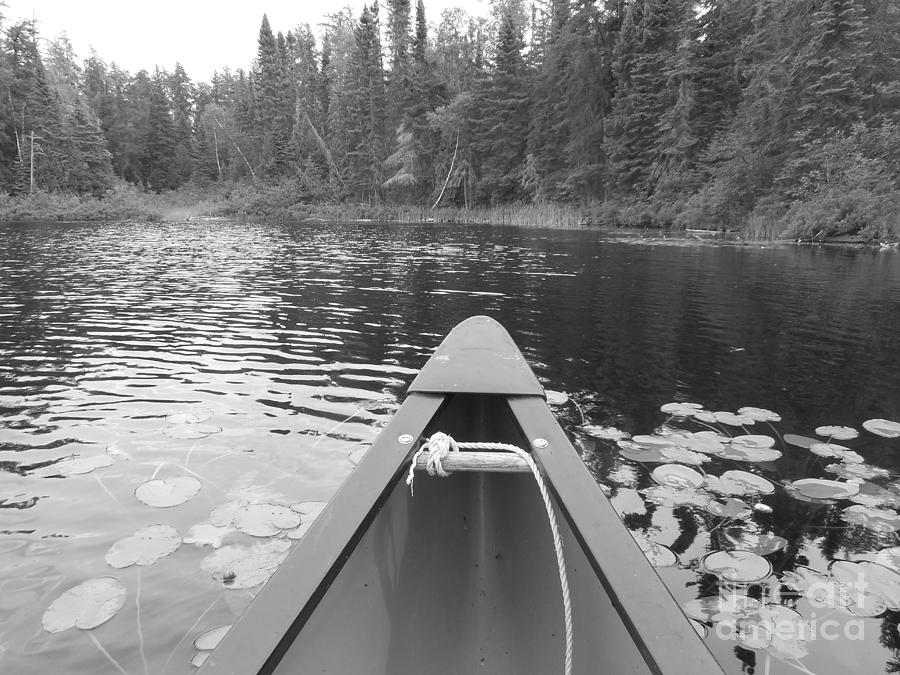 Canoe Trip Photograph by Wild Rose Studio