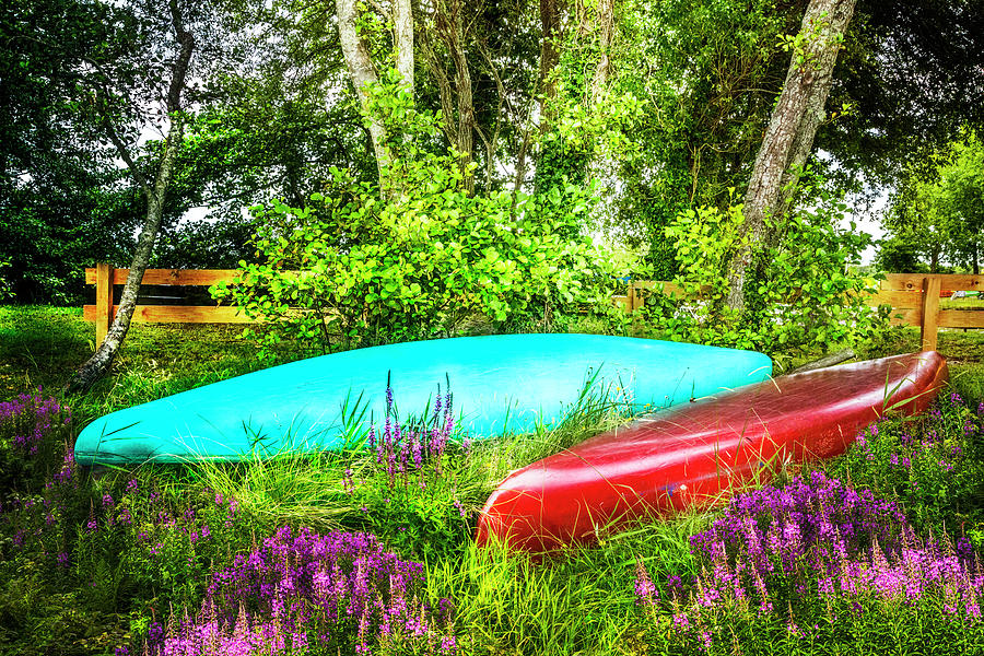 Canoes in the Summer Photograph by Debra and Dave Vanderlaan