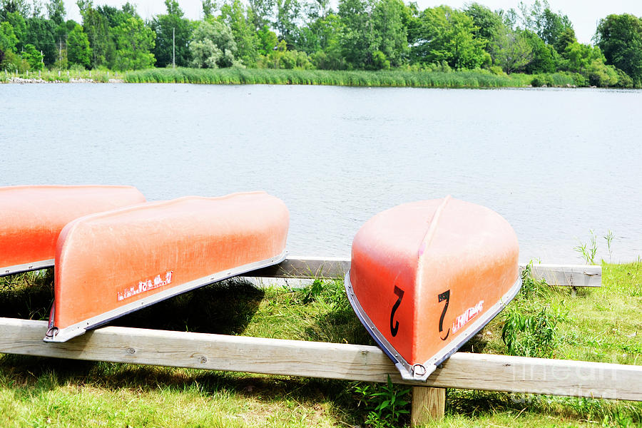 Canoes Photograph by Traci Cottingham