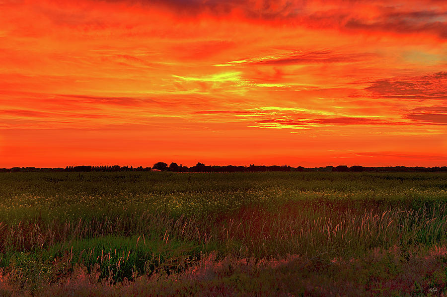 Canola Sunset Photograph by Greg Norrell
