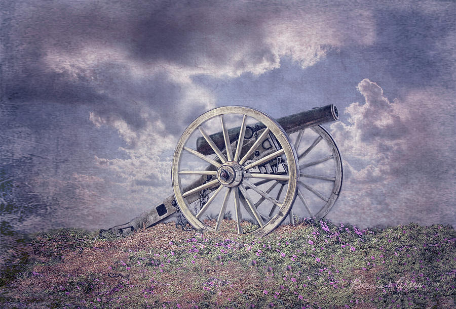 Cannon of Peace Digital Art by Bonnie Willis