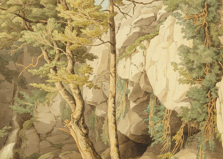 Woods Painting - Canonteign Devon by John White Abbott Woods Painting - Canonteign Devon by John White Abbott