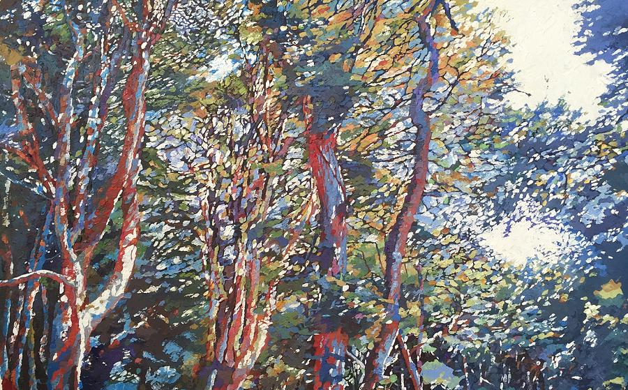 Tree Painting - Canopy of colour by Paul Williams