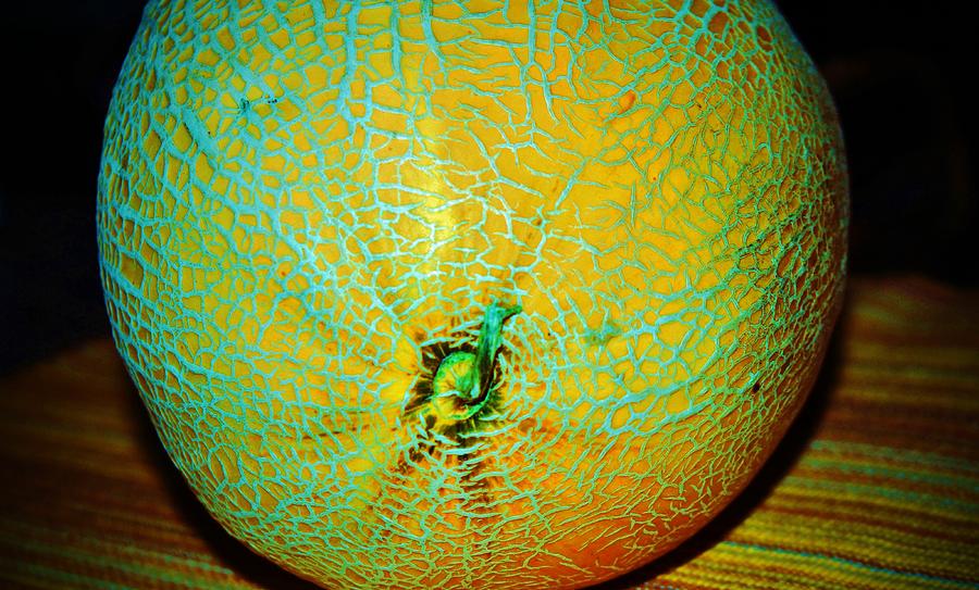 Cantaloupe Photograph by Cynthia Guinn