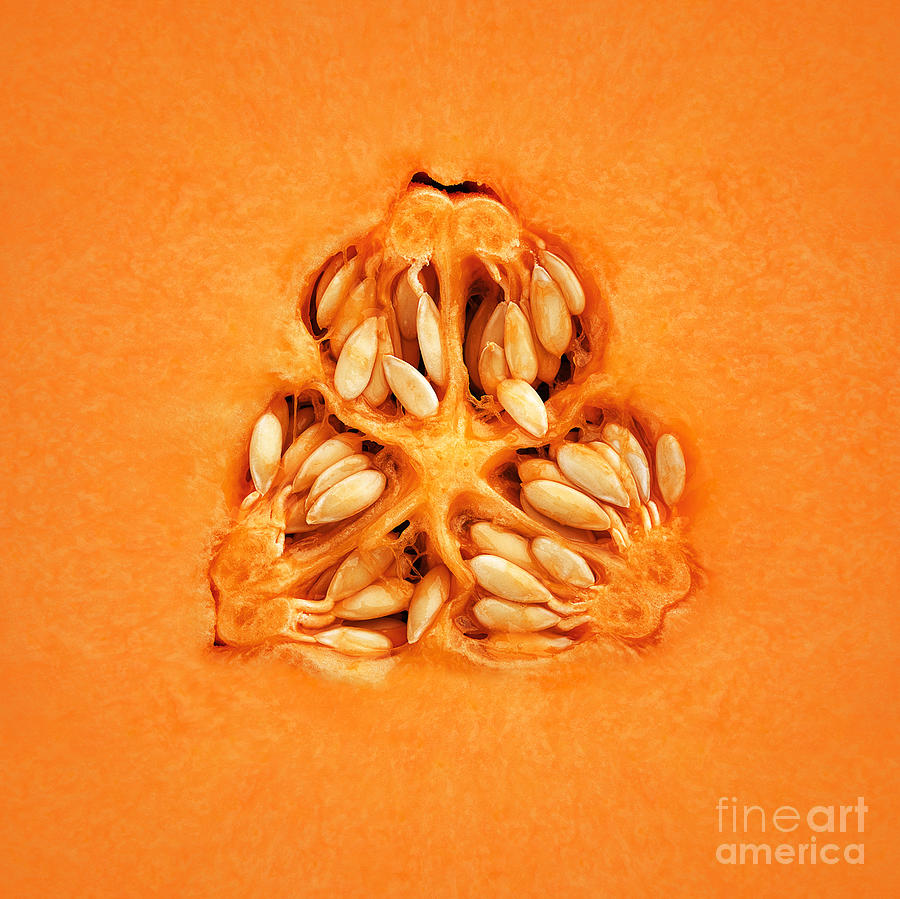 Cantaloupe Melon Inside Photograph