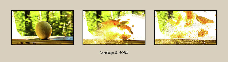 Cantaloupe Shot Photograph by Tim Dussault