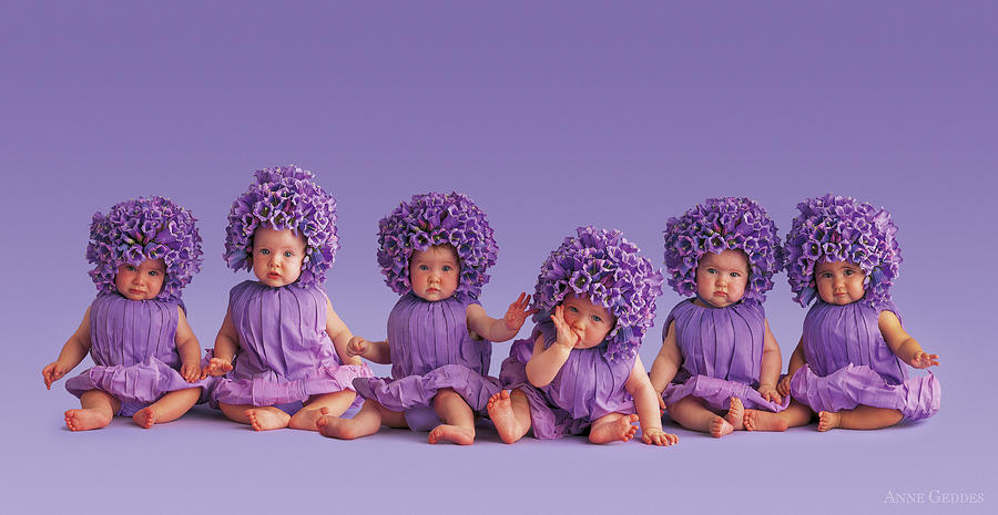 Flower Photograph - Cantebury Bells by Anne Geddes