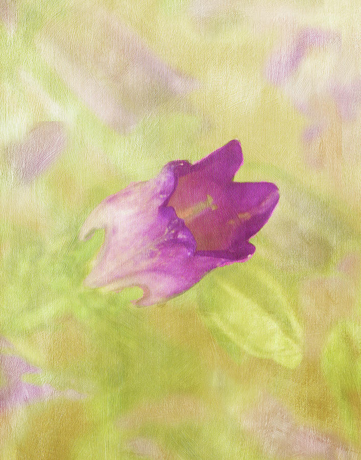 Canterbury Bell Flower Painted 2 Photograph by Sandi OReilly