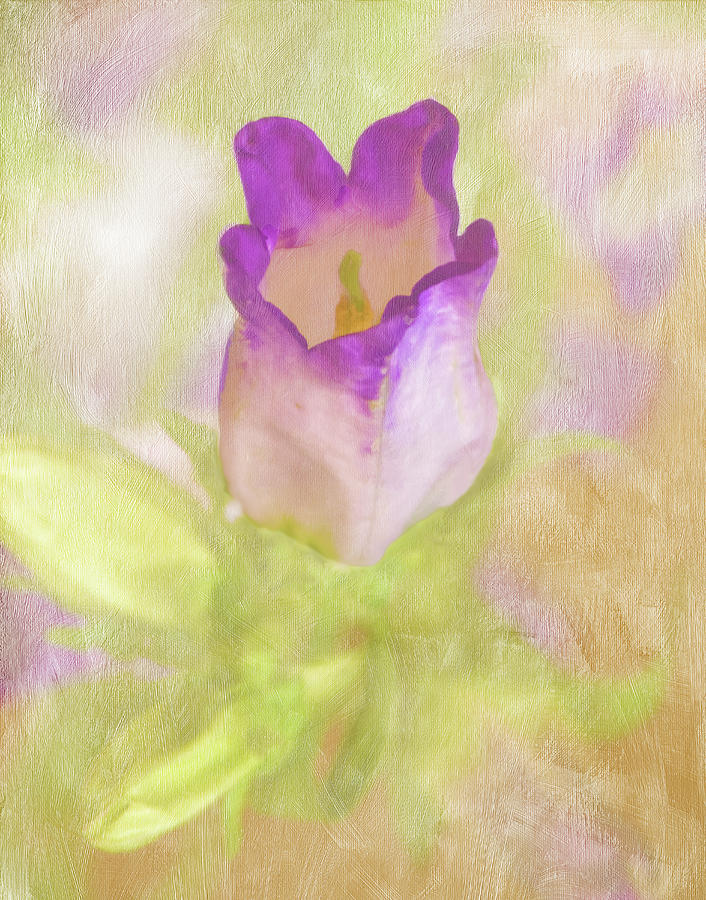 Canterbury Bell Flower Painted Photograph by Sandi OReilly