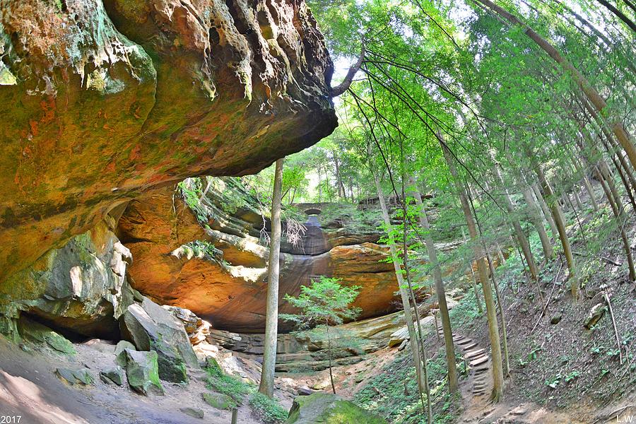 Cantwell Cliffs Hocking Hills Ohio Photograph by Lisa Wooten