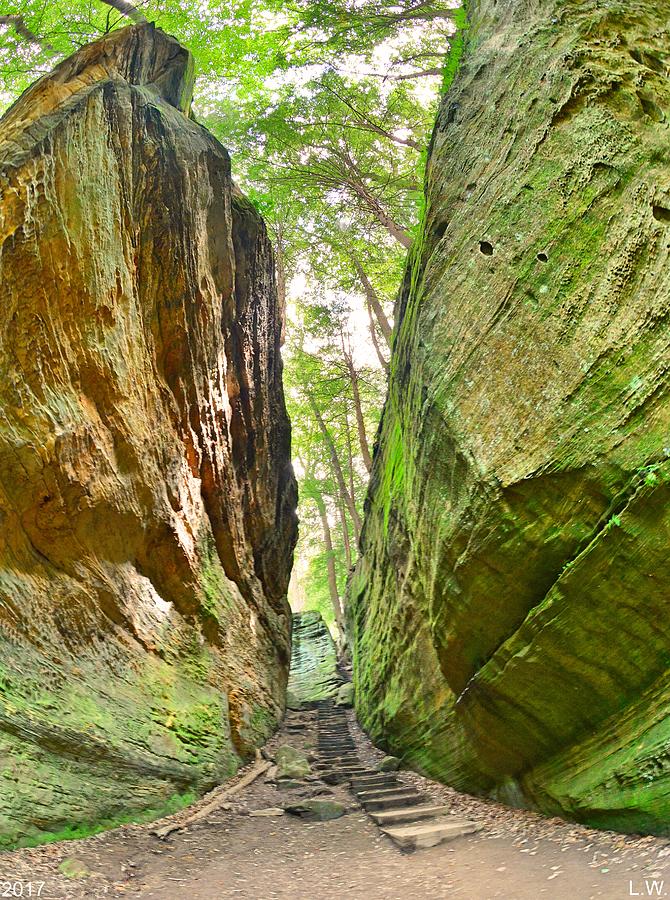 Cantwell Cliffs Trail Hocking Hills Ohio Photograph by Lisa Wooten