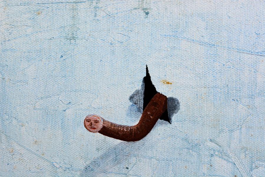 Canvas Worm Photograph by Kevin Carbone - Fine Art America