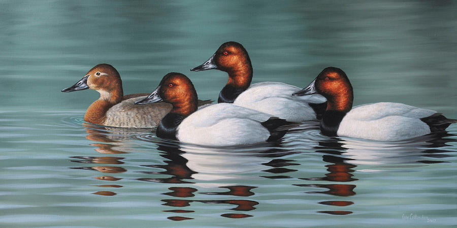 Canvasback Courtship Painting