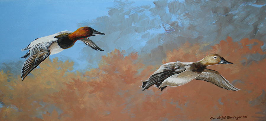 Canvasbacks Painting by Sarah Grangier