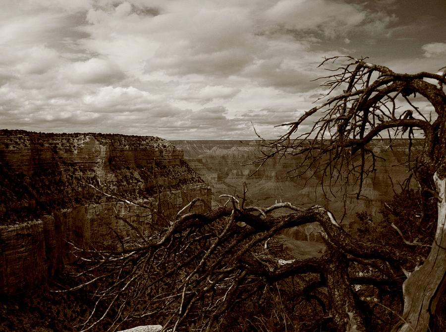Grand Canyon National Park Photograph - Canyon Black and White by Christopher J Kirby