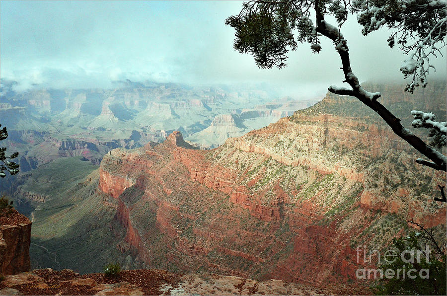 Canyon Captivation Photograph by Debby Pueschel