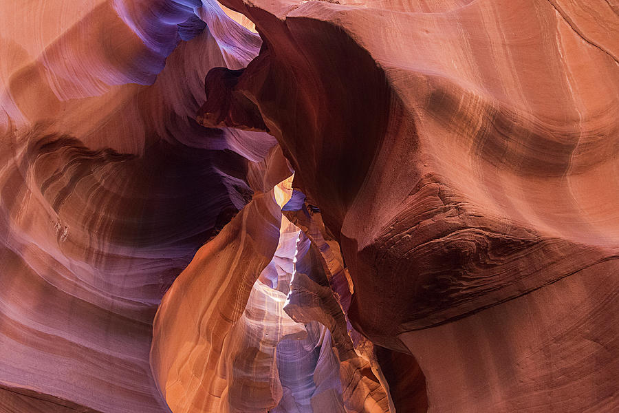 Canyon Ceiling Photograph by Susan Bandy