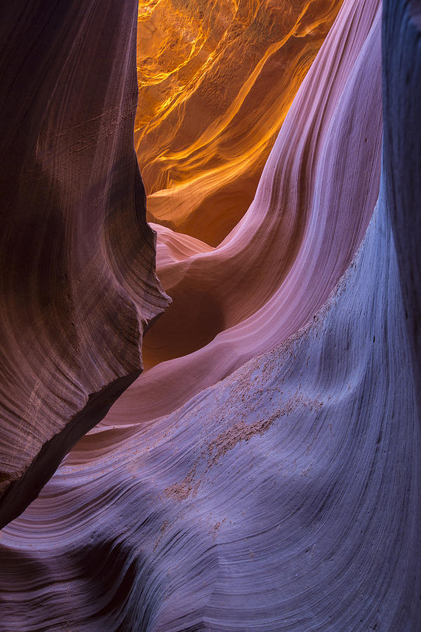 Canyon color Photograph by Jeff Shumaker
