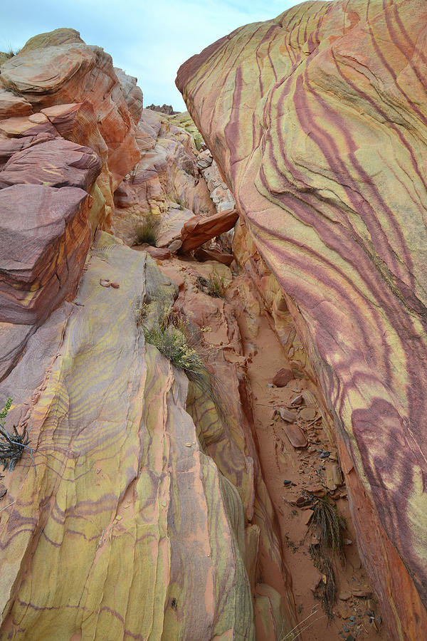 Canyon Color Swirls in Valley of Fire Photograph by Ray Mathis