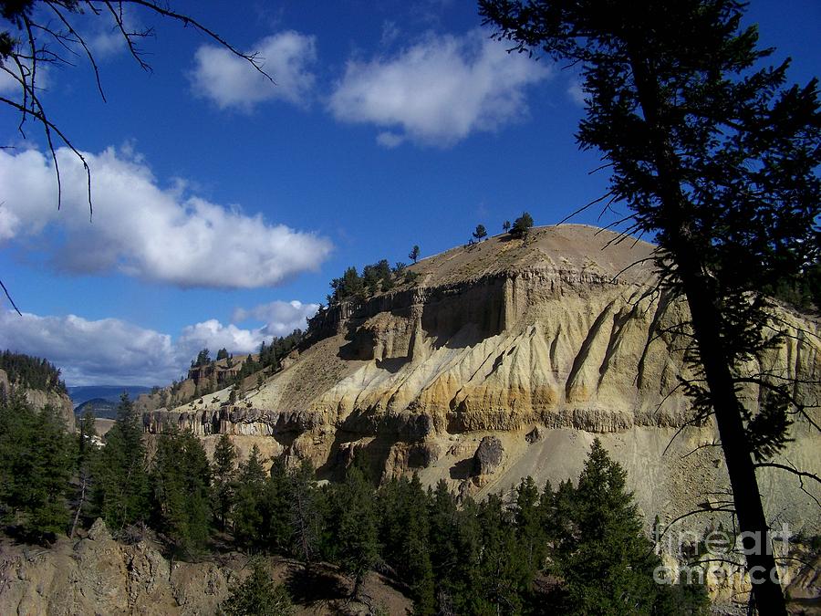 Yellowstone National Park Photograph - Canyon Colors by Charles Robinson