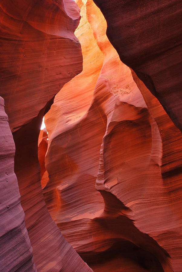 Antelope Canyon Photograph - Canyon Colors - Rattlesnake Canyon by Gregory Ballos